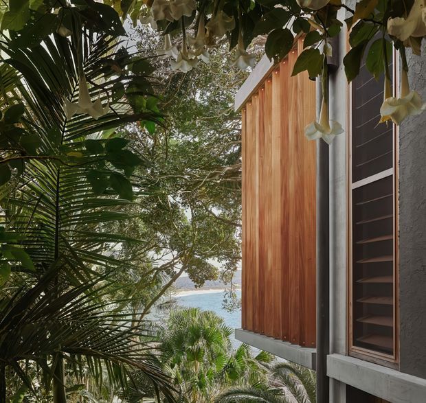 A close exterior architectural view of a tropical coastal residence, framed by dense palm foliage and flowering branches. The facade combines warm vertical timber cladding, dark louvred window shutters, grey structural trim, and textured grey wall surfaces. Blue water and a distant shoreline are visible through the vegetation, creating a secluded coastal setting.