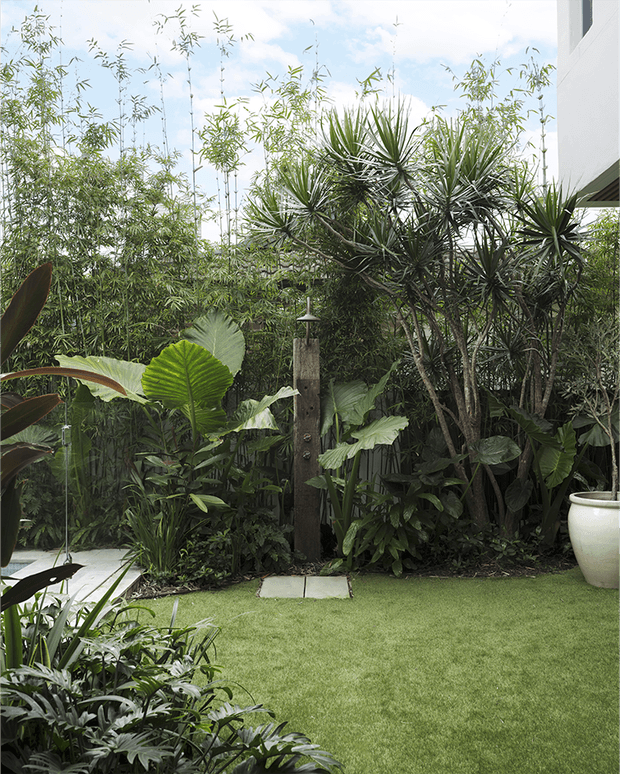 A lush tropical courtyard garden beside a modern white building, featuring dense layered foliage, bamboo, palms and broad-leaf plants around a small manicured lawn. A timber post with a small mounted light or garden feature stands near the centre, with pale stepping slabs leading through the planting. A large white planter is visible at the right edge.