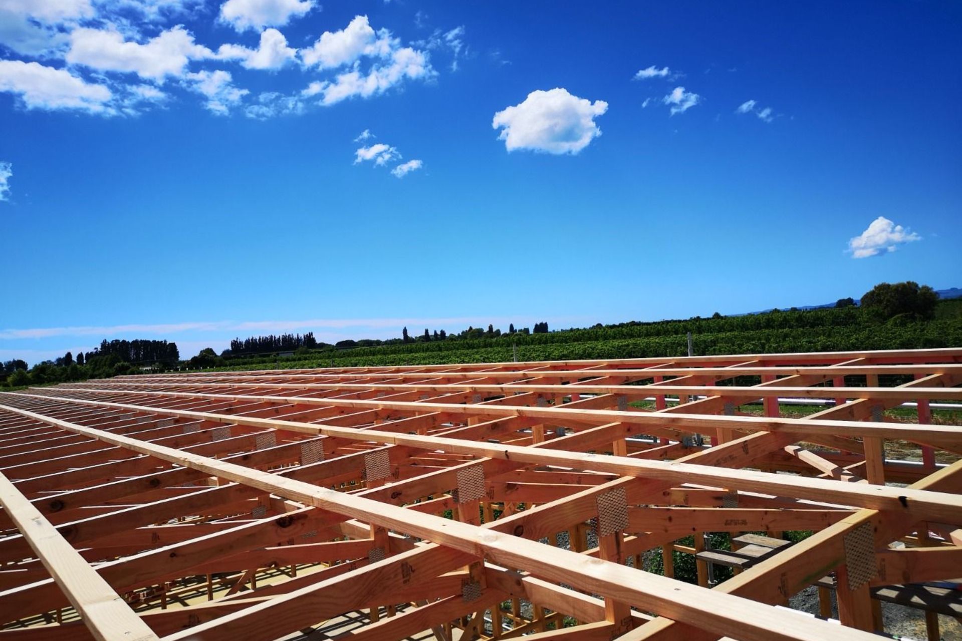  Central Parks RSE Accom