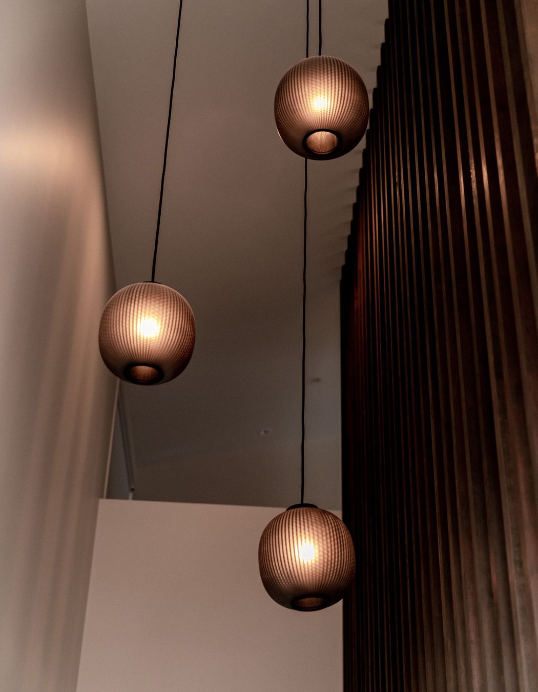 Hamilton Lake – Domain View 1