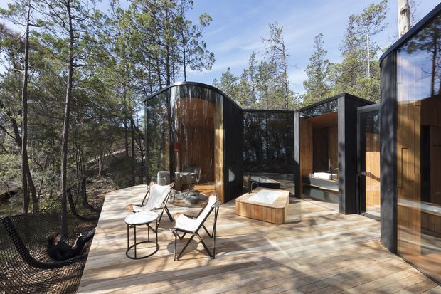 A contemporary forest retreat with a broad timber deck, black-framed glass pavilions, curved roof forms, and warm timber-clad interiors. Outdoor lounge chairs, small tables, and a low timber-clad bath or spa-like feature sit among mature trees, with extensive glazing connecting the interior to the wooded setting.