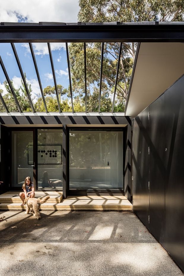 A contemporary semi-enclosed courtyard or covered outdoor area with a dramatic glazed roof, dark steel framing, and black built-in wall cabinetry or cladding. Concrete paving extends toward large glazed doors and windows, creating strong linear shadows and a bright connection to the surrounding trees. A seated person and dog are present but are secondary to the architecture.