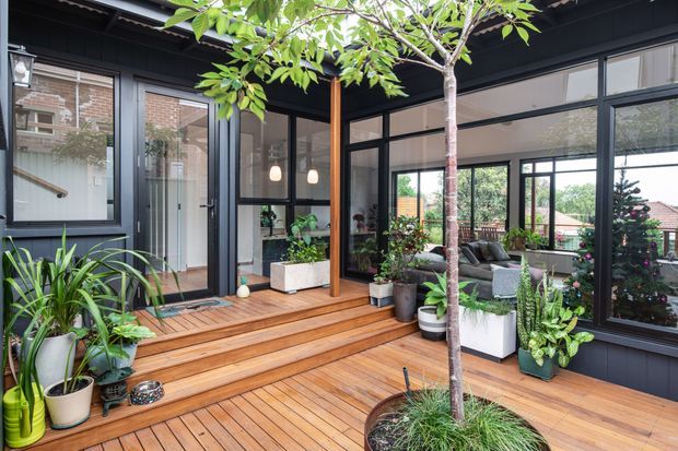 A contemporary enclosed courtyard or deck area framed by dark metal and glass walls, with warm timber decking and steps, abundant potted plants, and a small planted tree. Large glazed openings reveal a bright interior living space, while the surrounding black cladding and slim window frames create a strong modern contrast with the greenery and timber.