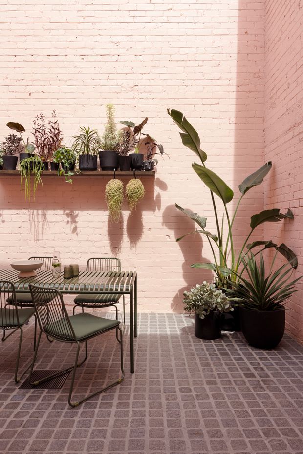 A sunlit enclosed courtyard or terrace with pale pink painted brick walls, a wall-mounted timber plant shelf filled with potted plants, and large tropical plants in dark pots. A compact outdoor dining table with slim metal chairs sits on a grid-patterned tiled or paved floor. Strong plant shadows and warm afternoon light create a calm, botanical atmosphere.