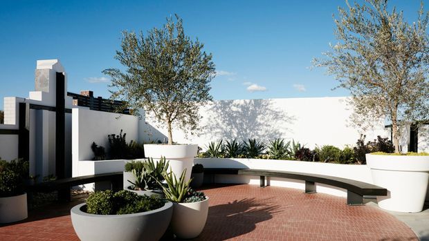 A bright modern landscaped courtyard with a curved built-in bench, large white planters, agave and other drought-tolerant planting, and red brick paving. White rendered walls and contemporary architectural forms frame the outdoor seating area beneath a clear blue sky.