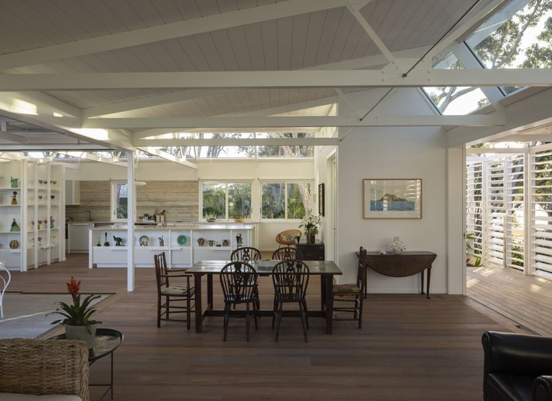 L&P House (Crinkle Cut)