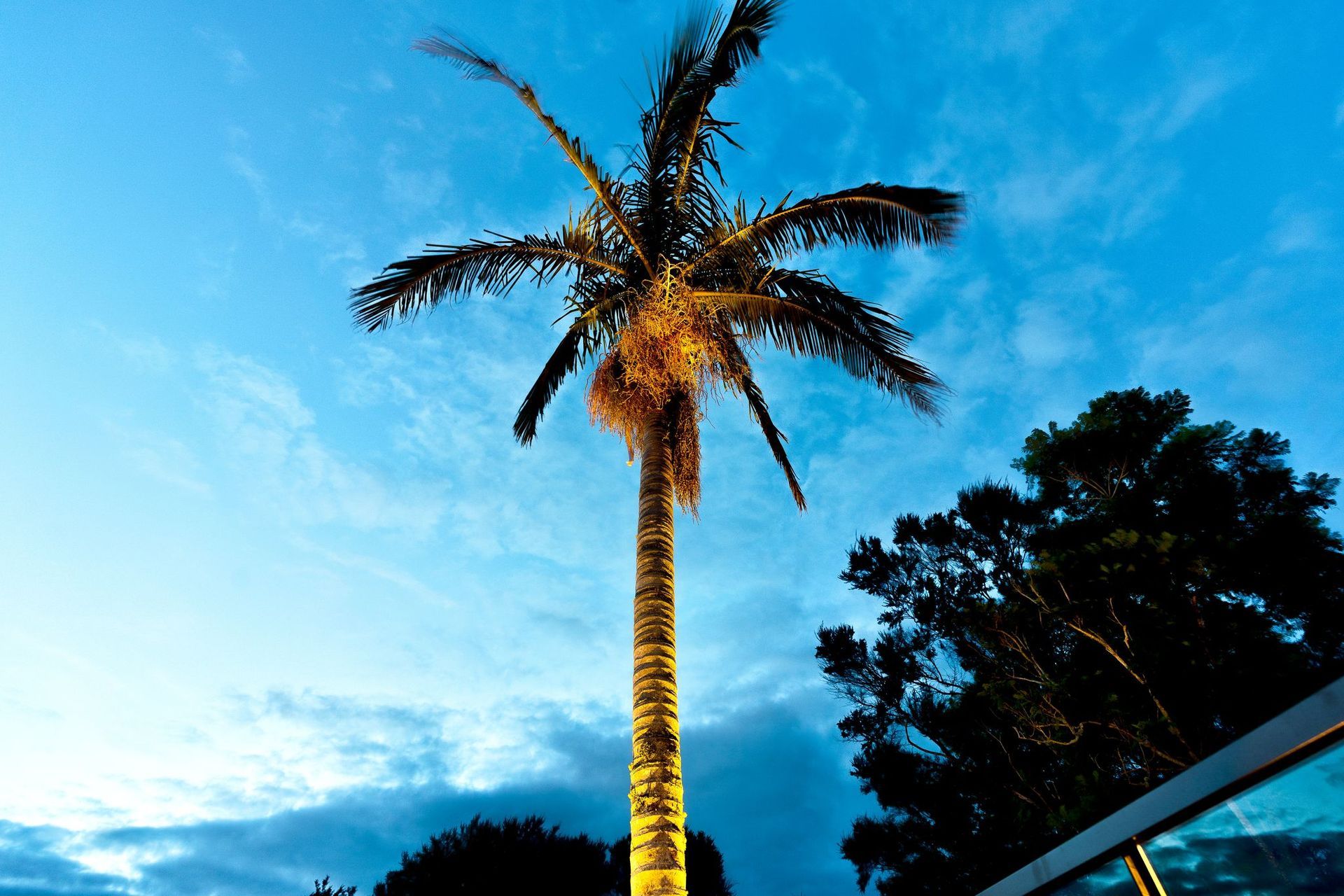 Matchitt House, Parihaka