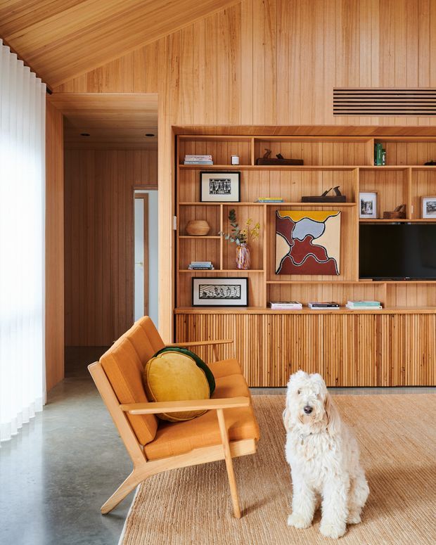 Warm mid-century-inspired living room with extensive vertical timber wall panelling and a matching timber-lined sloped ceiling. A built-in entertainment and display wall features open shelving, cabinetry, a television and decorative objects. The room includes an orange upholstered lounge chair, textured neutral rug, sheer curtains, concrete flooring and a white dog in the foreground.