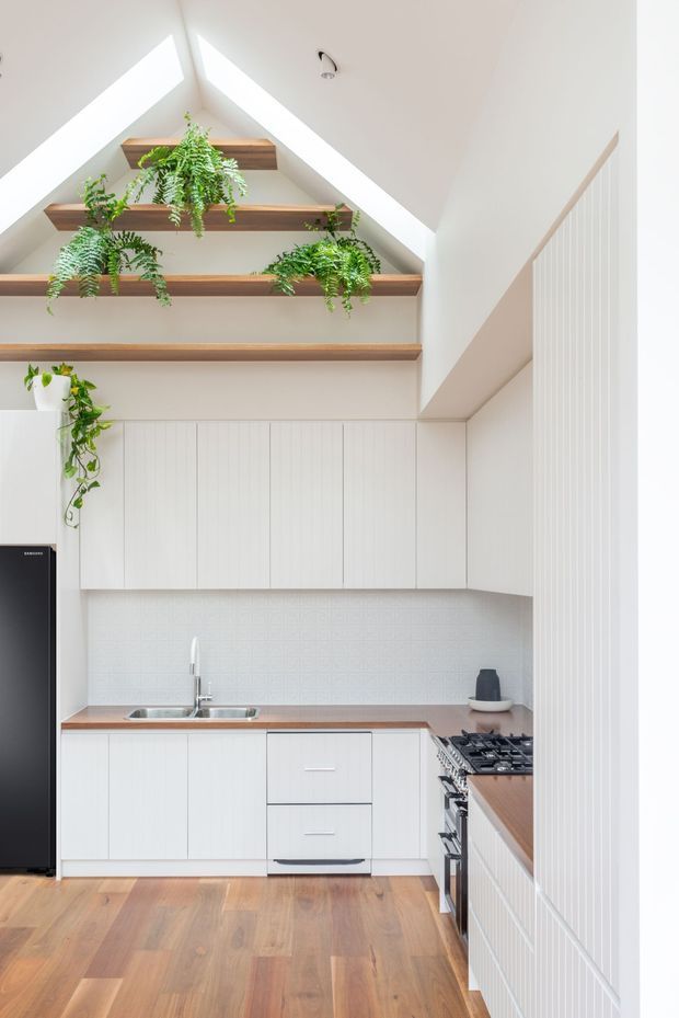 Bright compact kitchen with white vertical-panel cabinetry, warm timber benchtops and timber flooring, a subtle patterned backsplash, stainless-steel sink and gas cooktop. Open timber shelves with trailing ferns sit beneath a dramatic pitched ceiling with skylights, while vertical wall panelling frames the right side.