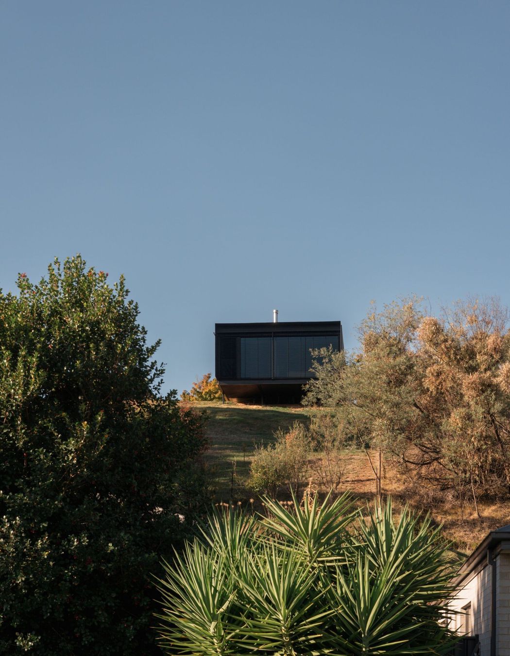Alpine-House-DX-Architects-Myrtleford-Residential-Regional-10-scaled.jpg