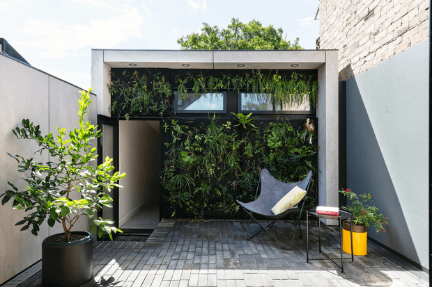 A compact modern courtyard or outdoor passage enclosed by rendered and masonry walls. The space features a full-height planted green wall beneath a concrete-framed canopy with recessed downlights and high-level glazing, grey tiled paving, a dark-framed opening, a black sling chair, and potted plants. Bright daylight creates a contemporary, leafy retreat.