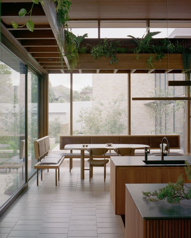 A light-filled contemporary kitchen and dining area with expansive floor-to-ceiling glazing, warm timber cabinetry and ceiling beams, pale tiled flooring, and a long built-in dining bench. A central island with a dark stone benchtop and integrated sink occupies the foreground, while abundant hanging and trailing plants soften the open interior. The space has a high ceiling with exposed timber framing and a strong indoor-outdoor connection.