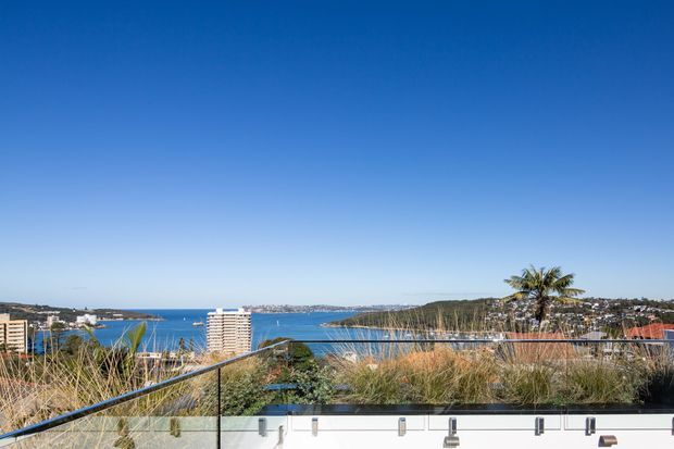 A rooftop or elevated terrace overlooking a bright coastal bay, with transparent glass balustrades, metal handrails, ornamental grasses, and a palm tree in the foreground. Apartment buildings and a densely built shoreline are visible across the water under a clear blue sky.
