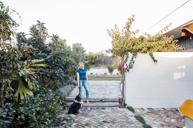 A landscaped residential courtyard or entry garden with dense planting, a paved herringbone-brick walkway, low steps, and a white masonry wall. A person and dog are present, with a partial view of a modern home and roof edge beyond the wall. The scene feels bright, informal, and garden-oriented.
