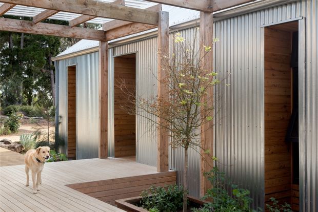 Exterior view of a contemporary corrugated metal-clad structure with exposed timber posts and beams, multiple timber-lined door openings, and a timber deck beneath a partially slatted pergola. Planting beds and a dog occupy the surrounding landscaped setting.