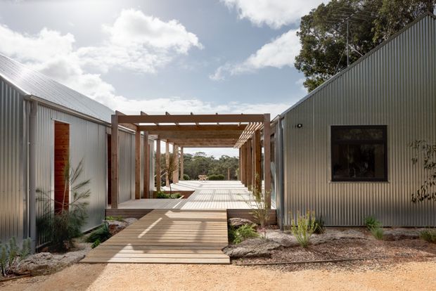 A contemporary single-storey complex of corrugated metal-clad structures linked by a timber pergola and boardwalk. The open passage frames landscaped planting and distant bushland, with strong sunlight, timber detailing and a restrained neutral material palette.
