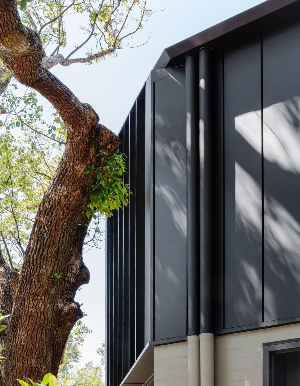 Woollahra Treehouse
