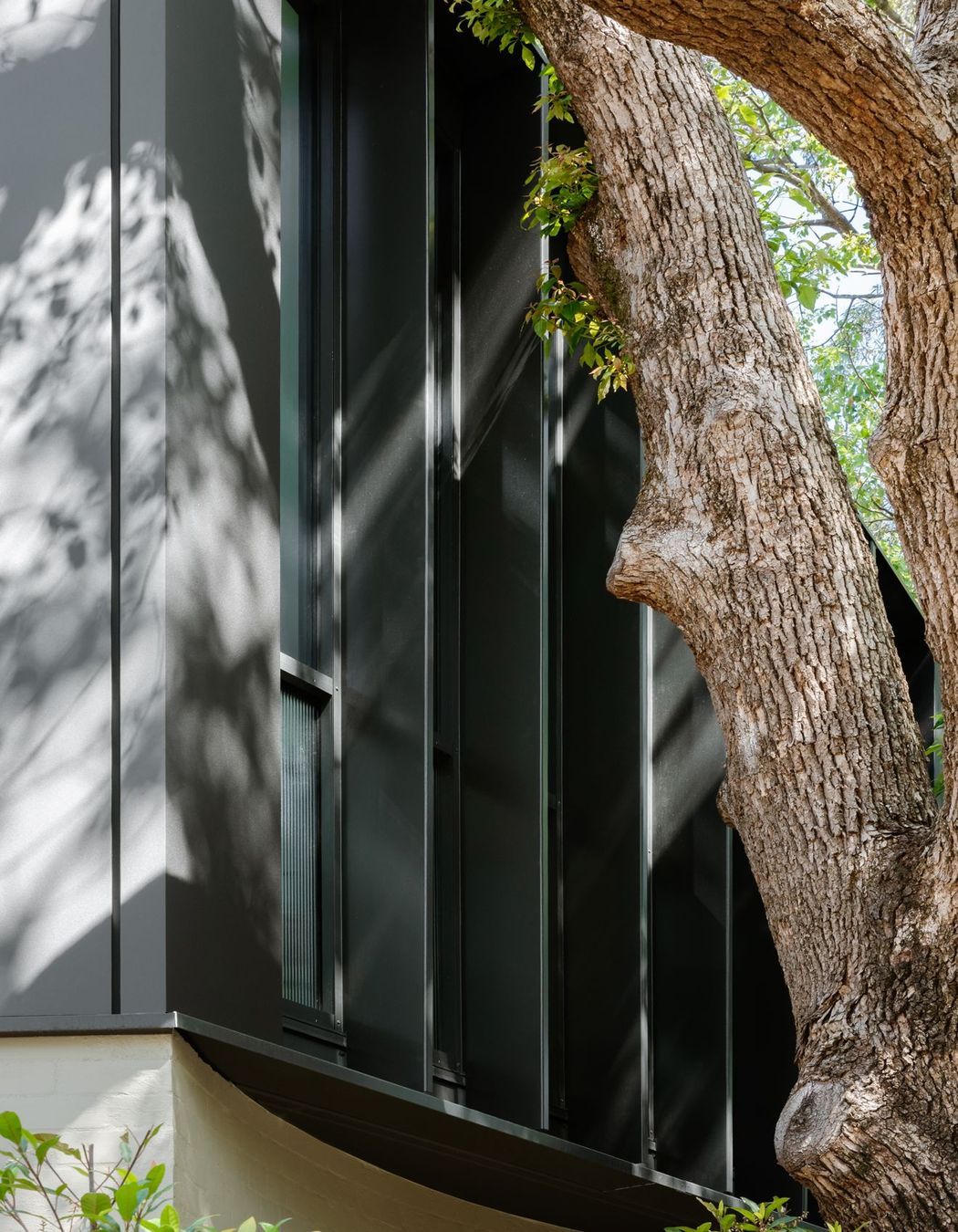 Woollahra Treehouse