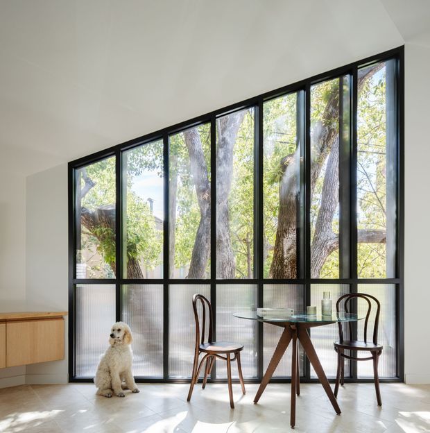 Bright contemporary dining nook with a small round glass dining table and two bentwood chairs positioned beside a dramatic floor-to-ceiling black-framed window wall. The glazing has translucent lower panels and clear upper sections, bringing in views of mature trees. Pale flooring, white walls and ceiling, and simple timber cabinetry create an airy, refined interior; a small dog is present.
