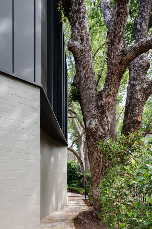 A narrow exterior walkway runs beside a contemporary building. The lower wall is painted white brick, while the upper facade uses dark vertical metal cladding and projecting black metal detailing. Mature tree trunks and dense green planting closely border the path, creating an integrated garden setting.