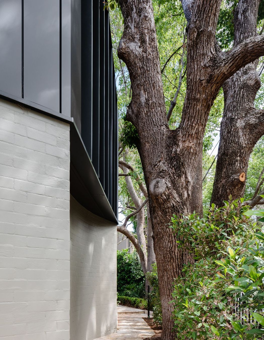 Woollahra Treehouse