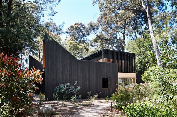 A dark, angular contemporary house nestled among mature eucalyptus trees and dense native vegetation. The facade features vertically ribbed dark cladding, sharply varied rooflines, a projecting upper volume with open vertical screening, and a small recessed window. A gravel or naturalistic path leads through the landscaped foreground.