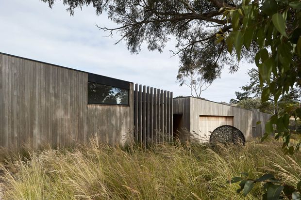 Low, single-storey contemporary dwelling with a restrained timber-clad facade, vertical screening fins, recessed entry, and a concealed garage door. The home is set within a natural landscape of tall ornamental grasses and mature trees, creating a muted, organic exterior composition.