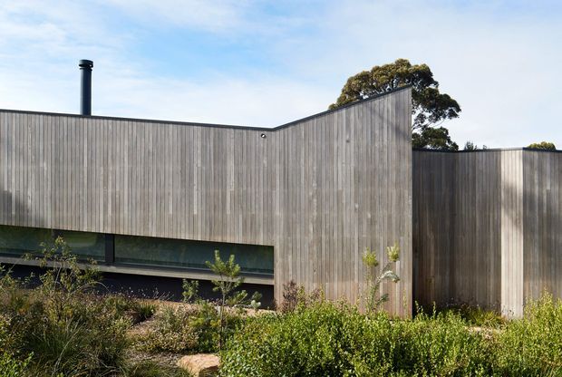 A contemporary single-storey building exterior with a sharply folded roofline and tall vertical timber-clad walls. A long, low dark-framed window is recessed beneath the cladding, while native-style planting softens the foreground. A black flue projects above the roof, and mature trees are visible behind the structure.