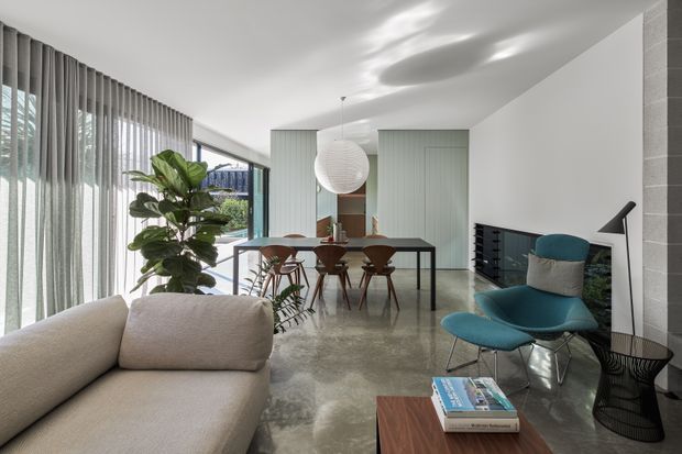 A bright, open-plan contemporary living and dining area with polished concrete flooring, full-height sheer curtains and glazing, pale green vertical-panelled built-in cabinetry, and a minimalist dining table with timber chairs. The foreground features a neutral upholstered sofa, teal lounge chair and ottoman, a sculptural pendant light, and a slim black floor lamp. Indoor planting and views to greenery are visible through the glazing.