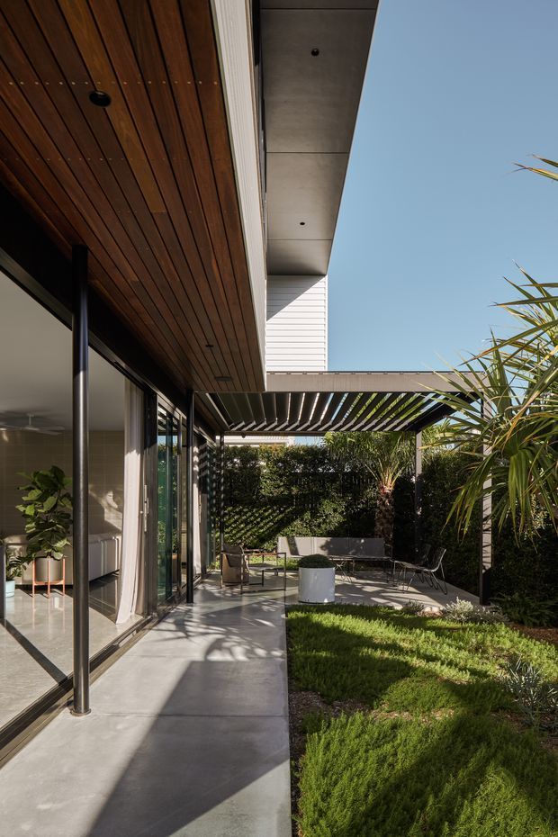 A contemporary single-storey residential exterior showing a covered patio and landscaped outdoor lounge beside floor-to-ceiling glazing. The home features a deep timber-lined soffit, smooth concrete slab roof overhang, white horizontal cladding, slender dark metal posts, and a pergola with adjustable-looking slatted louvers. Concrete paving leads through a green garden with tropical planting and outdoor seating.