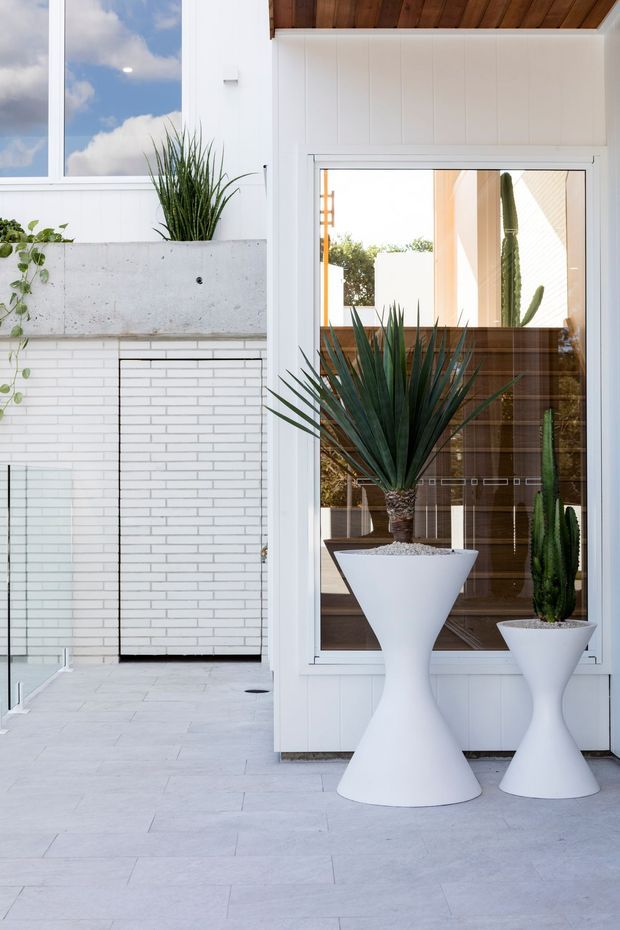 Bright contemporary exterior courtyard or terrace featuring white vertical-panel cladding, a large glazed opening, white brickwork, pale tiled paving, and sculptural white planters containing architectural cacti and succulents. Warm timber soffit and interior timber screens are visible through the glazing.