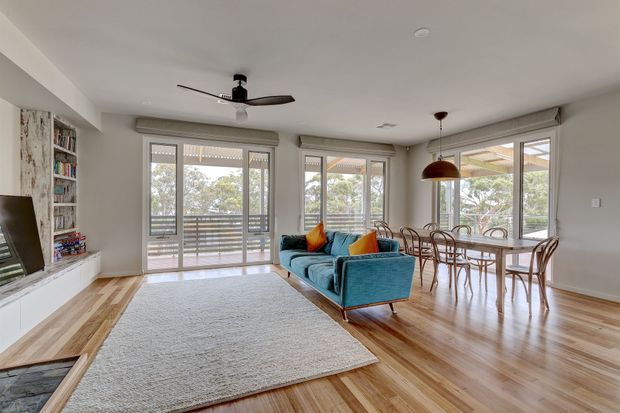 Bright open-plan living and dining room with polished timber flooring, white walls and ceiling, large glazed doors and windows, a ceiling fan, built-in shelving and media cabinetry, a teal sofa with orange cushions, and a timber dining table with bentwood chairs. The space opens to an outdoor balcony or terrace and overlooks leafy surroundings.