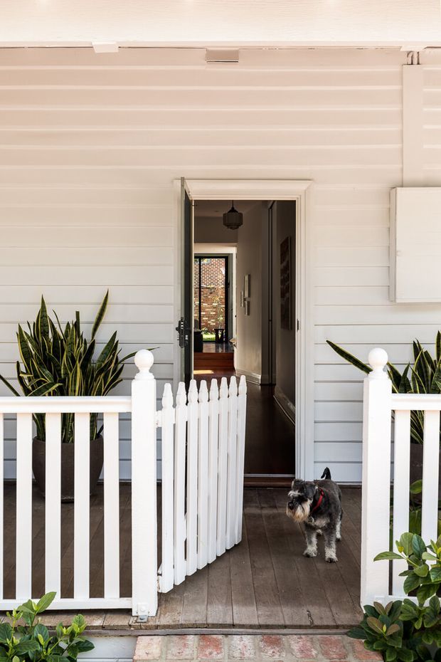 Photograph of a traditional front porch and entry to a white weatherboard house. A white picket gate and railings frame a dark timber porch deck, with potted snake plants and leafy shrubs. The open front door reveals a hallway and timber flooring inside, while a small dog stands on the porch.
