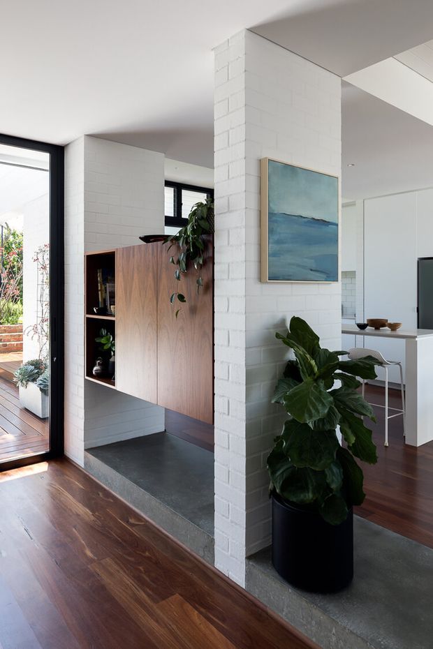 A bright, contemporary open-plan interior viewed from an entry or circulation area. White-painted brick walls form a partial divider around built-in warm timber cabinetry, while dark polished timber flooring meets a grey concrete or stone floor zone. Black-framed glazing opens to a timber deck and planted exterior. A large leafy indoor plant, blue artwork, and glimpses of a minimalist kitchen and dining area add colour and warmth.
