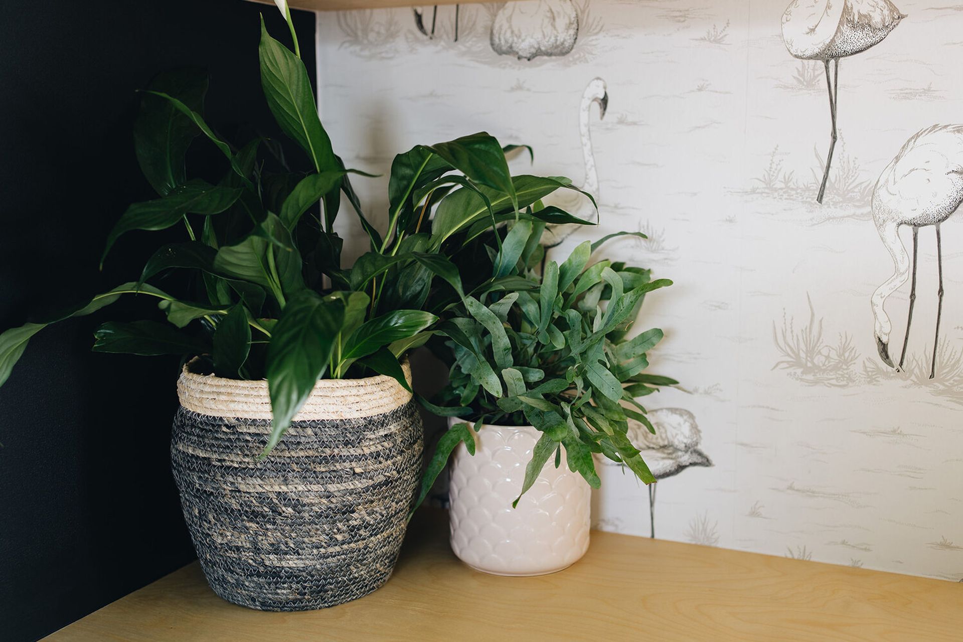 Mt Stewart-Halcombe Road