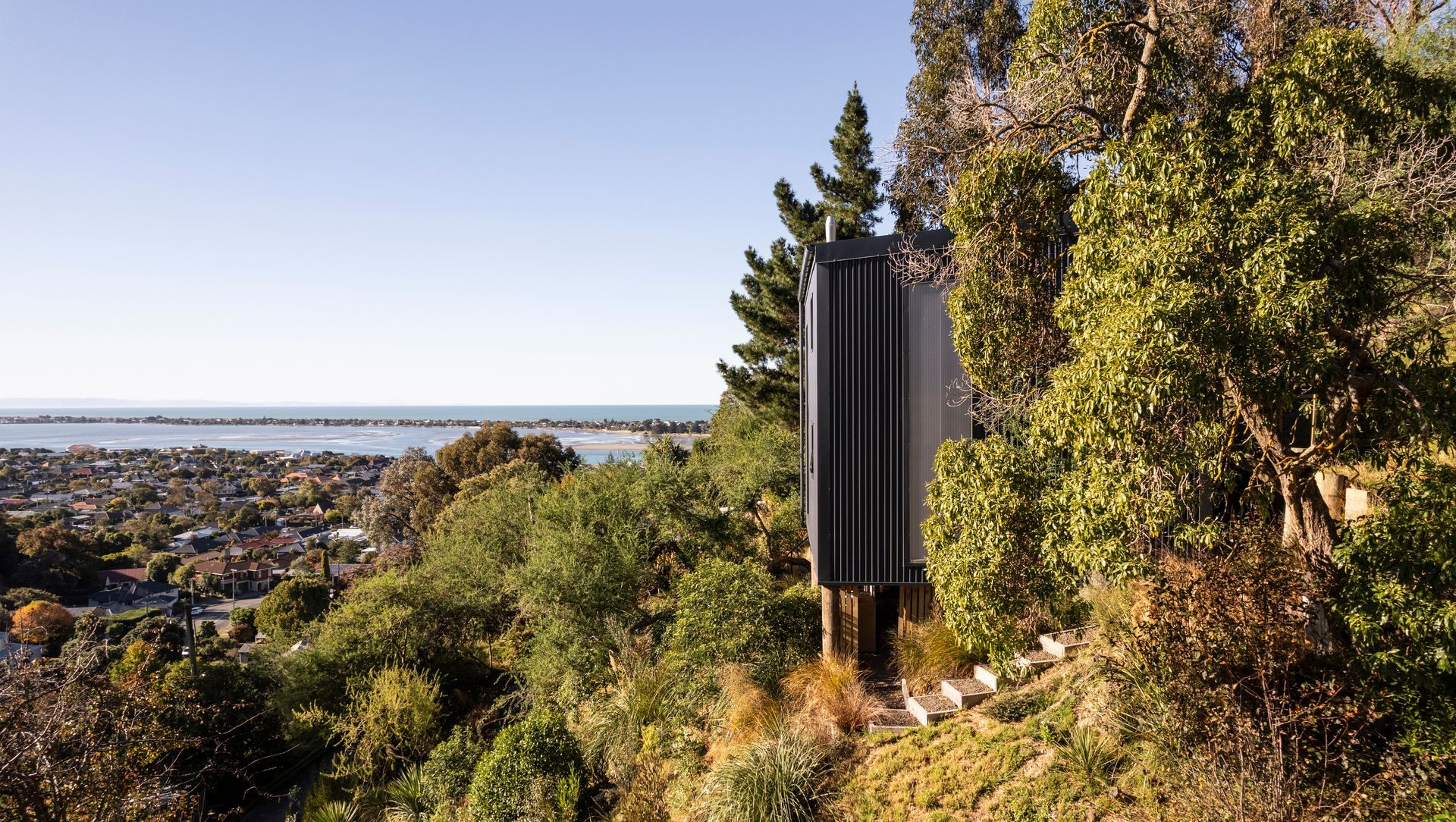 Augusta Treehouse banner