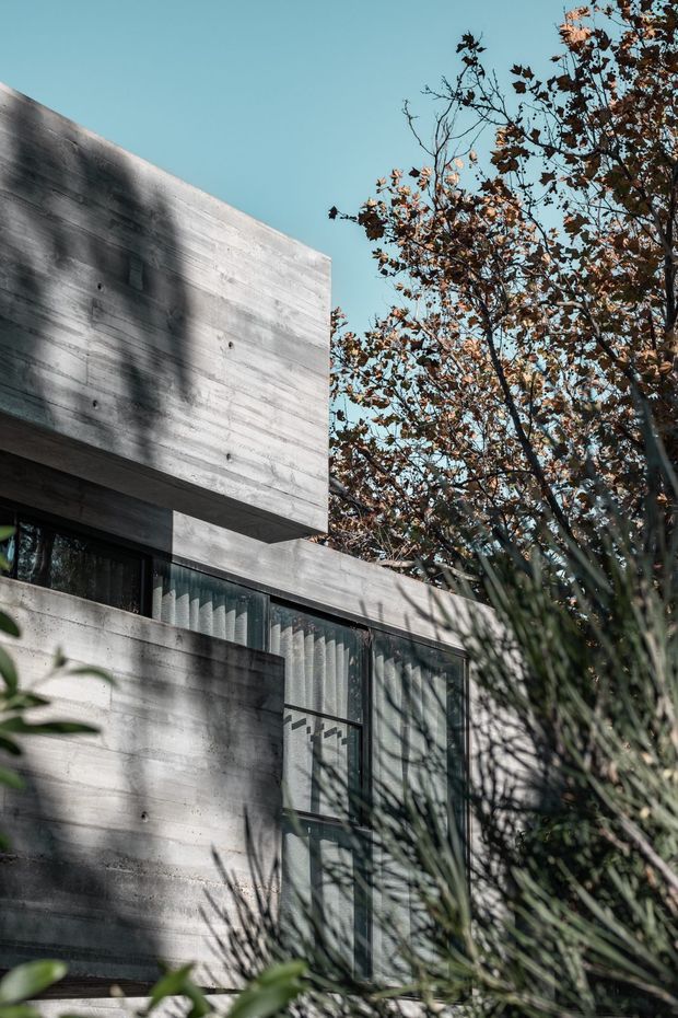 Exterior architectural photograph of a modern, box-like concrete residence partially screened by mature planting. The facade features exposed horizontal-board concrete, projecting cubic volumes, dark-framed glazed openings, and strong tree shadows. The image is composed from a low angle against a clear blue sky, with dense foliage in the foreground and background.