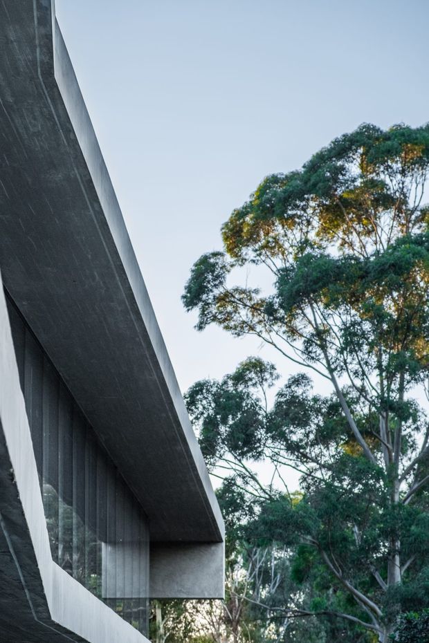 A dramatic close-up exterior architectural view of a contemporary building set among mature trees. The image focuses on a sharply projecting dark concrete roof or cantilevered slab, a textured pale concrete wall, and tall glazed openings with vertical framing beneath the overhang. The composition is minimalist and sculptural, with the building edge contrasting against the surrounding greenery and sky.