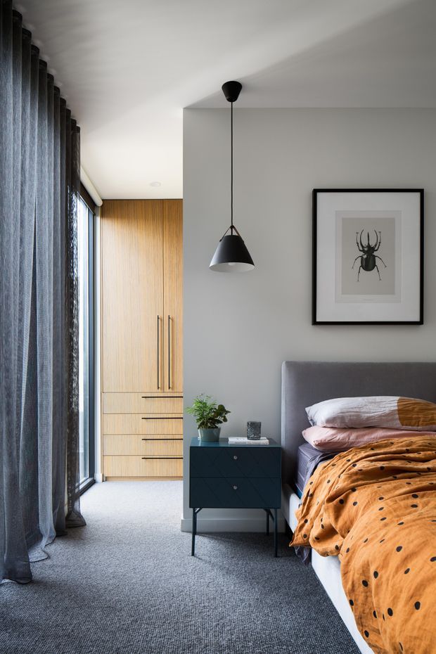 A contemporary bedroom with a grey upholstered bed, dark blue bedside table, full-height grey curtains, grey carpet, and a warm timber built-in wardrobe. A black pendant light and framed insect artwork provide graphic accents, while orange patterned bedding adds warmth.