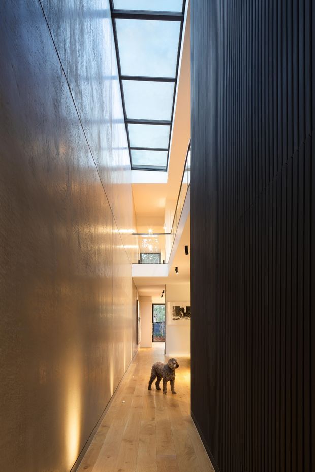 A long, narrow contemporary interior hallway with a warm timber floor, textured plaster wall, and dramatic dark vertical ribbed wall panelling. A linear skylight brings daylight from above, complemented by recessed and concealed lighting. The corridor opens toward a brighter living area and includes a small dog.