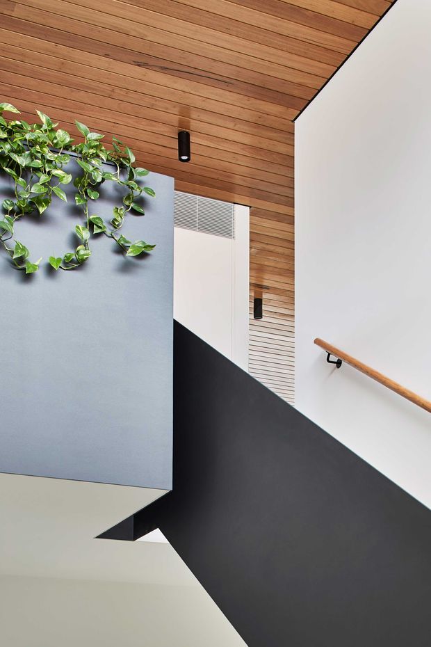 A modern stairway viewed from below, featuring a striking black angular stair or balustrade wall, white walls, a warm timber-lined ceiling and upper wall, slim black wall lights, a timber handrail, and a grey partition with trailing greenery. The composition emphasizes geometric planes, contrasting materials, and indirect architectural lighting.