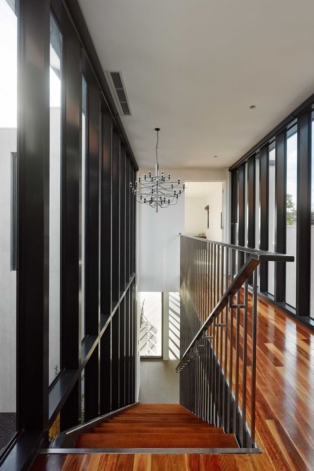 A bright, contemporary stairway and landing viewed from the upper level. Dark metal-framed floor-to-ceiling glazing lines both sides, contrasting with warm polished timber flooring and stairs. A black metal balustrade descends to a lower level, and a sculptural branching chandelier hangs over the stair void. White walls and ceiling create a clean, airy interior with strong vertical lines and daylight.