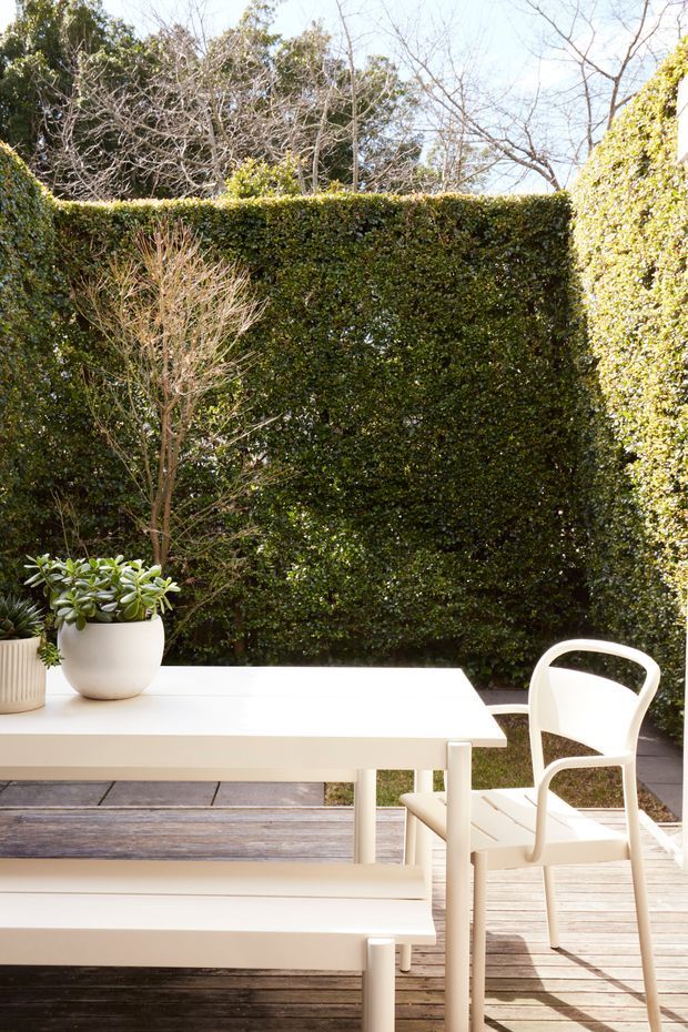 A bright outdoor dining area on a timber deck, furnished with a white rectangular table, matching bench seating, and a white contemporary chair. Potted succulents sit on the table, backed by tall, neatly trimmed evergreen hedges and a paved garden edge.