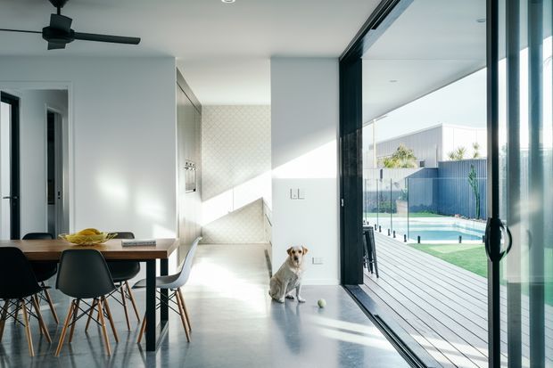 Bright contemporary open-plan dining and living area opening directly onto a timber deck and swimming pool courtyard. The room features white walls, polished grey concrete flooring, dark-framed full-height sliding glazing, a timber dining table with modern chairs, and a black ceiling fan. Strong daylight creates a clean, airy atmosphere, with a dog visible near the glazed opening.
