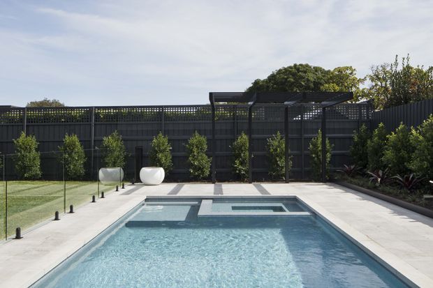 A contemporary private backyard pool area featuring a rectangular swimming pool with integrated shallow spa or raised water feature, surrounded by pale stone paving. The enclosed garden has dark privacy fencing, clipped screening plants, ornamental landscaping, and a transparent pool safety fence. Two sculptural white outdoor chairs sit beside the pool. The image is photographed outdoors in bright daylight.