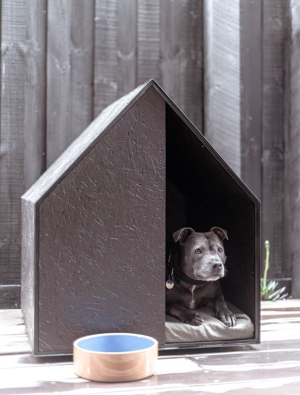 A small, dark-painted, house-shaped dog kennel with a pitched roof and textured exterior sits on a timber deck against a vertical timber fence. A dog rests inside the open kennel, with a shallow bowl in front.