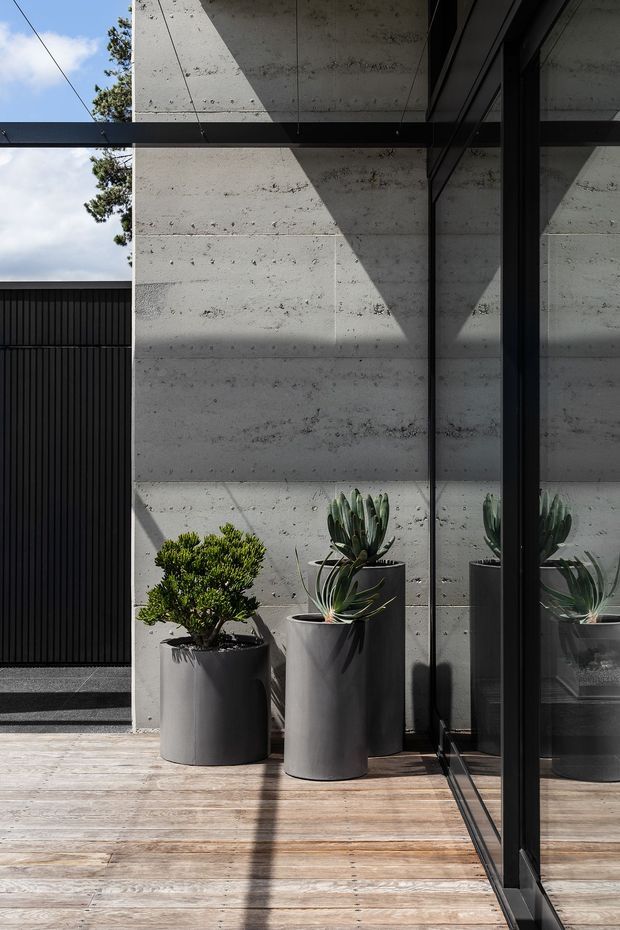 A contemporary architectural exterior detail featuring a raw textured concrete wall, black-framed floor-to-ceiling glazing, and a dark vertical slatted gate. Large charcoal cylindrical planters with sculptural greenery sit on a weathered timber deck, with strong geometric sunlight and shadows across the surfaces. Reflections of the planters and facade are visible in the glazing.
