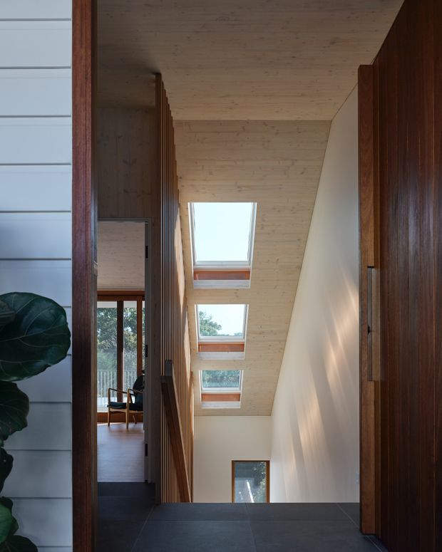 A refined interior hallway or stair landing with a dark tiled floor, tall dark timber joinery and slatted timber screening, white walls, and a warm pale timber-lined sloping ceiling. A sequence of skylights brings daylight into the circulation space, with views toward a living area and exterior glazing beyond.