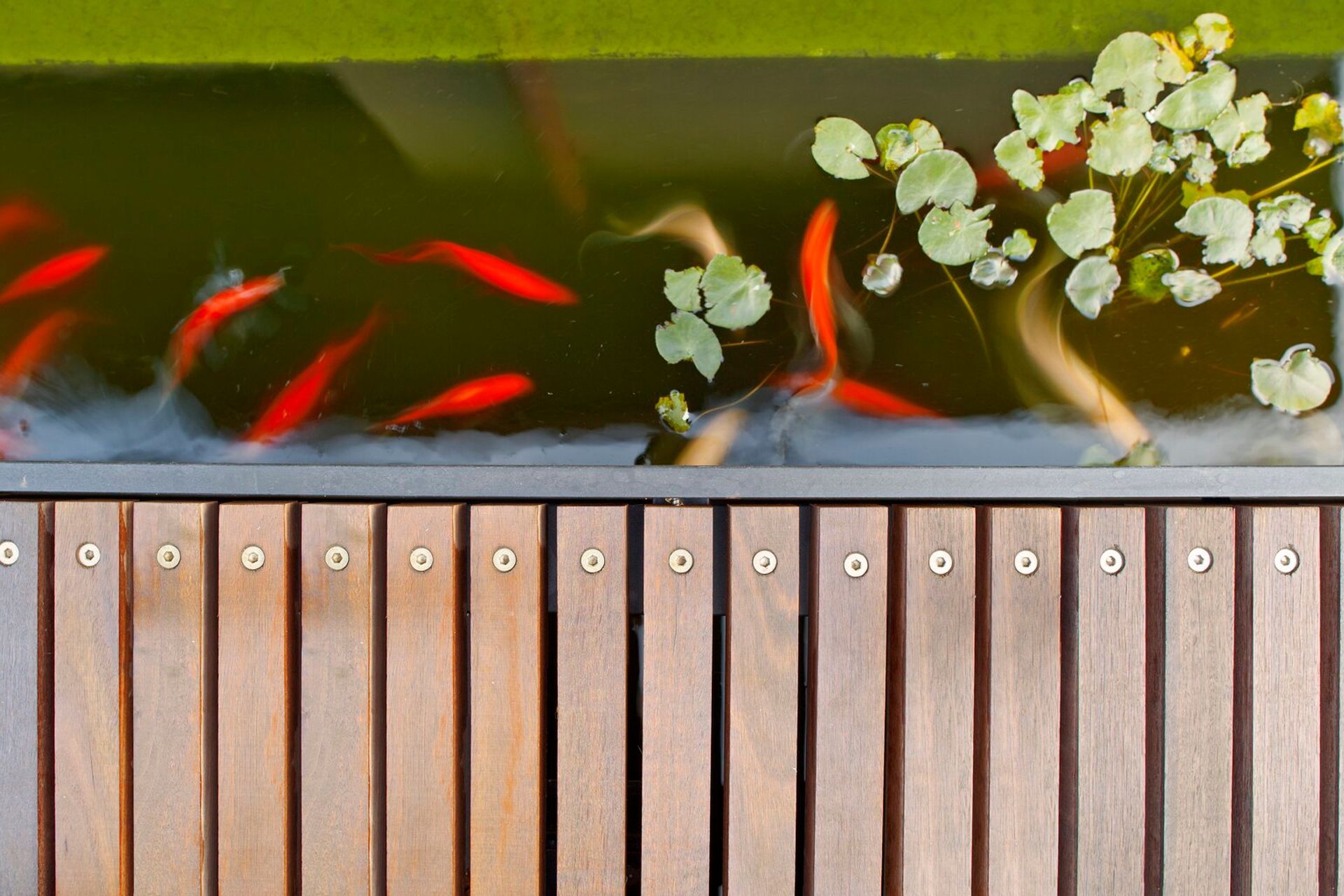 Little Bay Residence