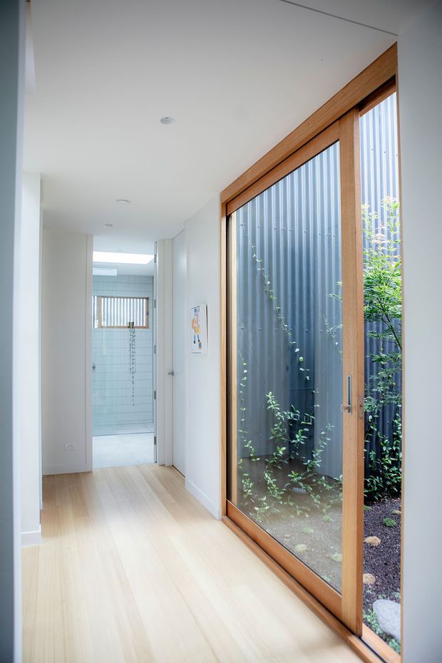 Bright minimalist residential hallway with pale timber flooring, white walls and ceiling, and a large floor-to-ceiling timber-framed glazed door or window opening onto a narrow planted courtyard. A tiled bathroom or wet area is visible at the end of the corridor. The space has clean lines, recessed downlights, and abundant natural light.